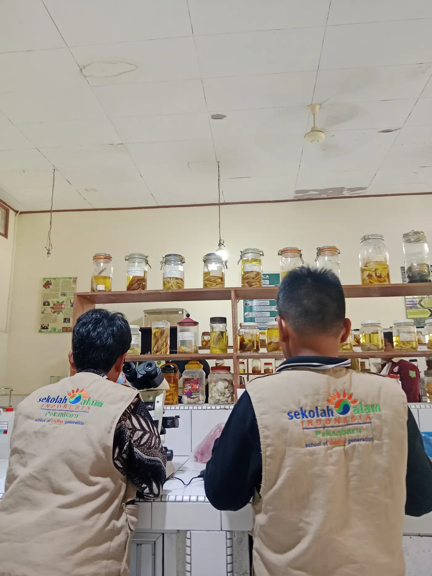 Dokumentasi Kurikulum SAI SL 3