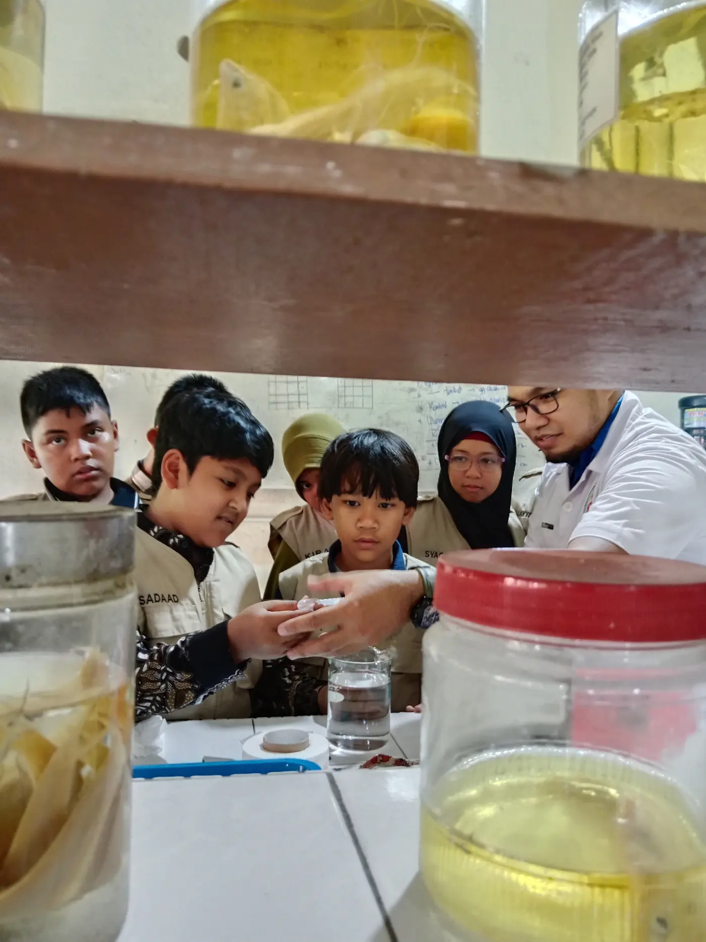 Kegiatan SL