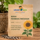 Grow Kit Mini — Paket Tanam Kecil